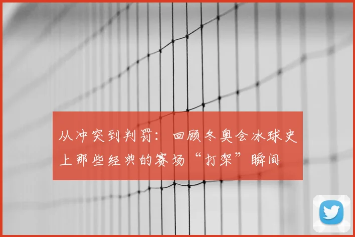 从冲突到判罚：回顾冬奥会冰球史上那些经典的赛场“打架”瞬间
